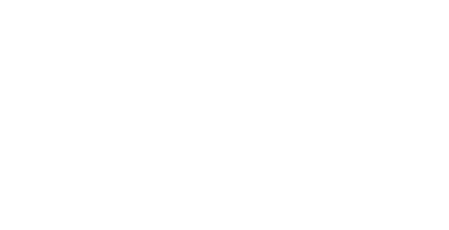 General Project